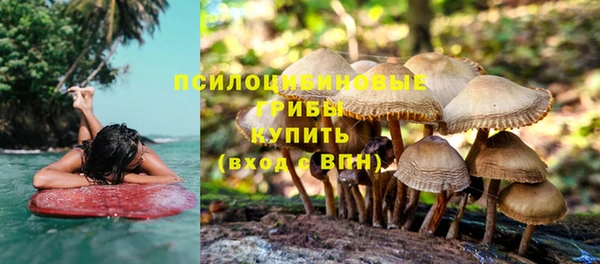 амф Алзамай