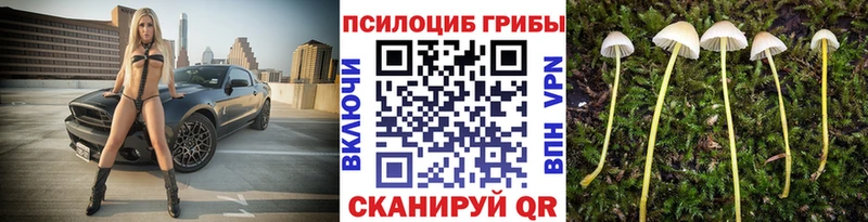 даркнет Telegram  Карабаш  Псилоцибиновые грибы MAGIC MUSHROOMS 